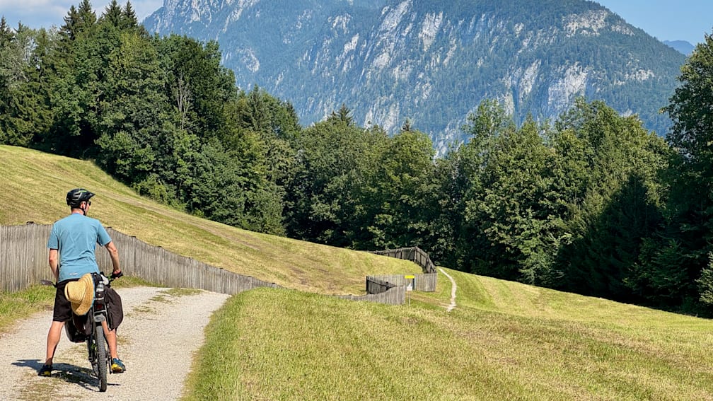 A path winds through a grassy field with trees and a fence.