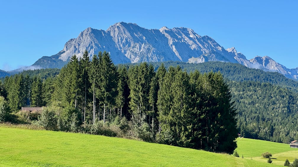 A field with trees and mountains in the distance with the grass being green and the sky blue.