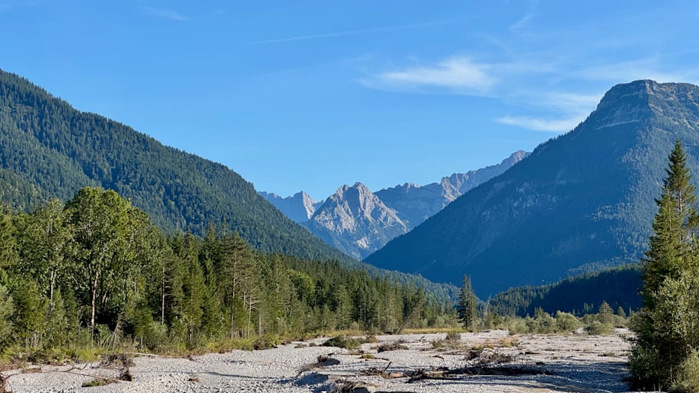 A bunch of multicolored insects are flying over a mountain range.