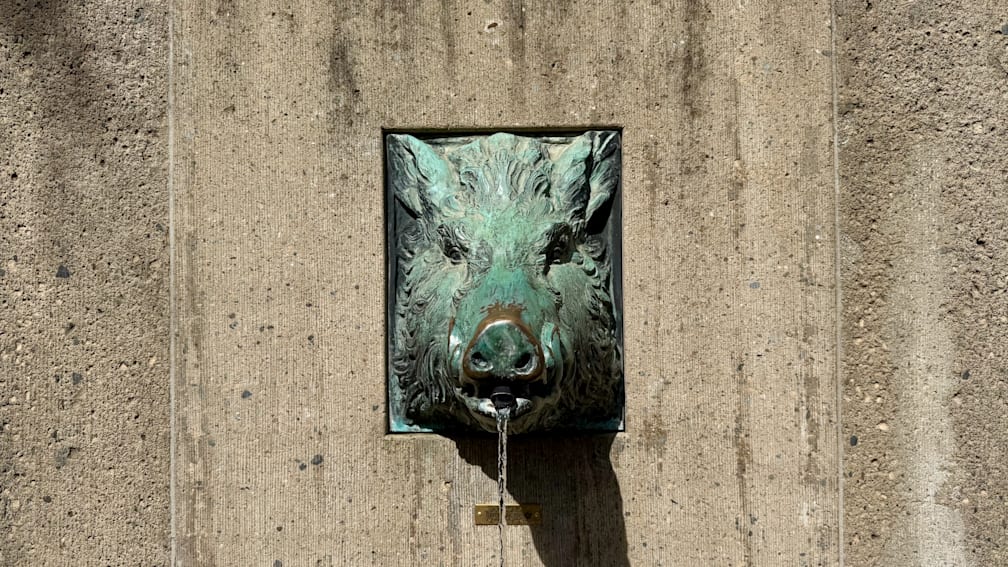 A shot of a copper headstone with a spout coming out of it.