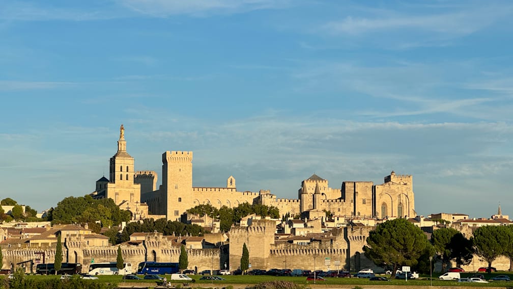 A cityscape with a castle in the background with a lot of flying insects near the castle.