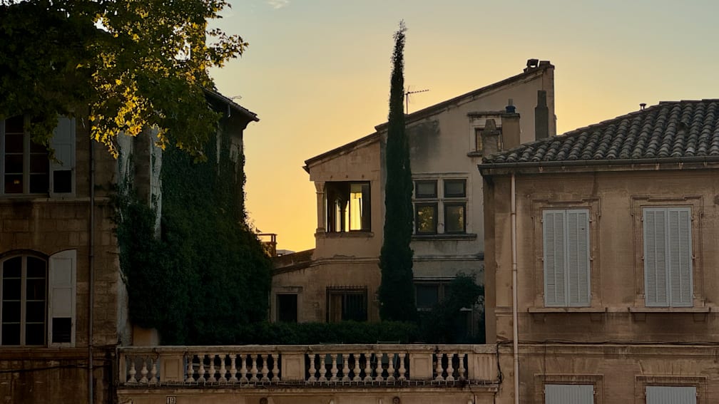 A large tree is cast in a warm glow over a building and the sky.