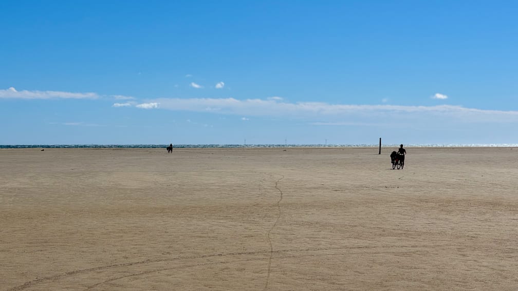 A large number of kites are being flown over a large, open sandy beach.
