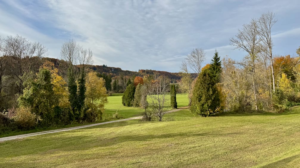 A large, open field with a road going through it and trees lining the edge of the field.
