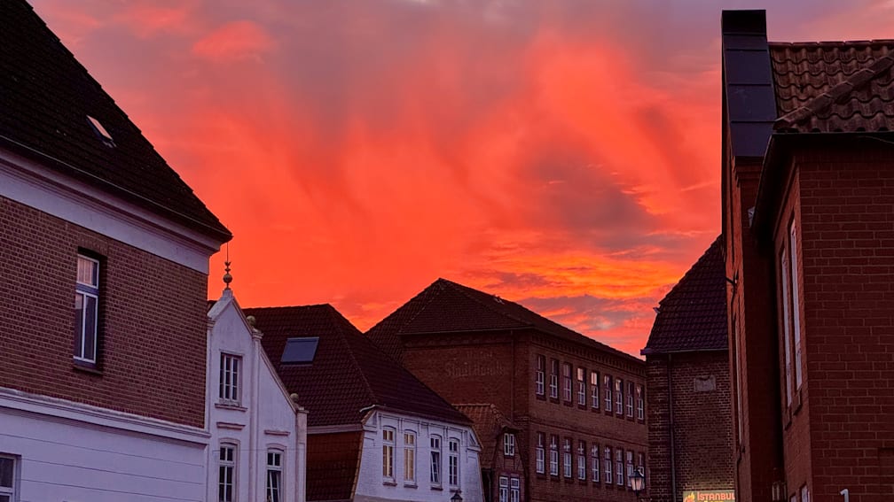 A building with a red roof and white windows can be seen with a flock of birds flying overhead.