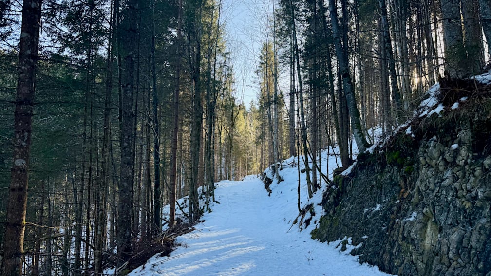 A path through the snow leads to the top of a hill where the trees are thin.