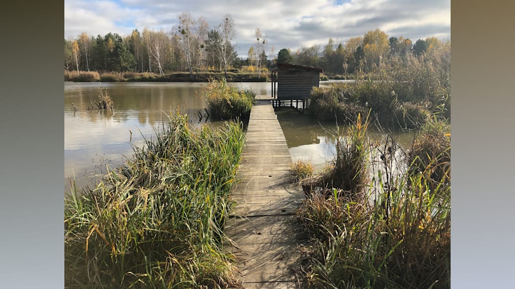 A dock is in the water and leads to a cabin.