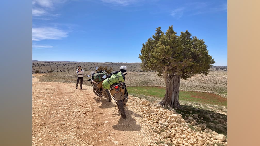 A man and a motorcycle are on the road while another person stands behind them with a tree in hand.