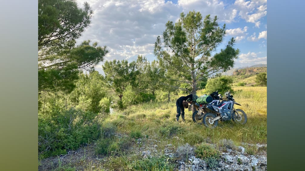 A man works on his motorcycle in the grass next to a tree.
