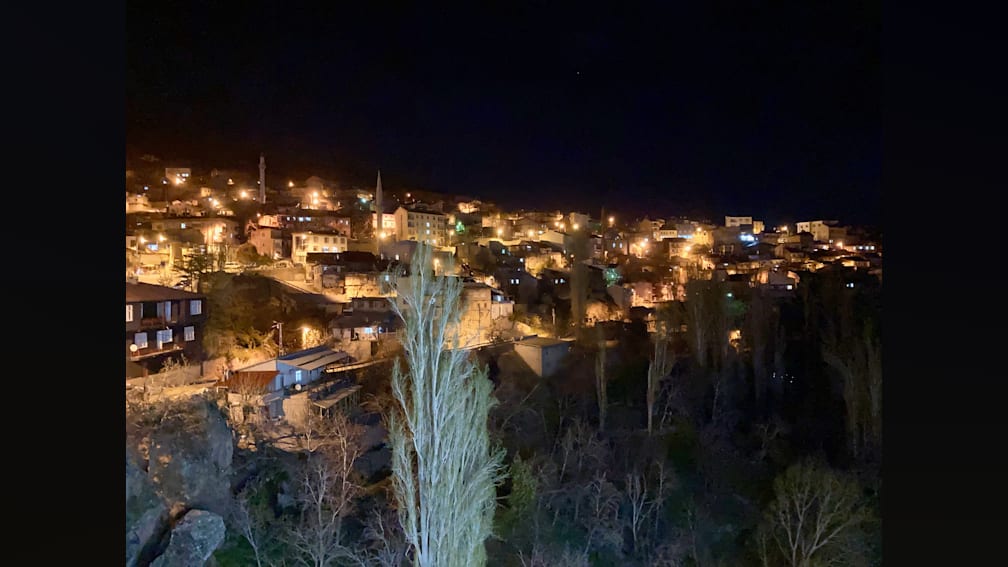 A tree is lit up next to a building and the tree is dark.