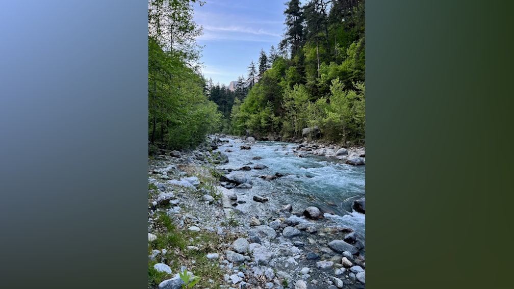 A stream with rocks and a blue water with trees in the background.