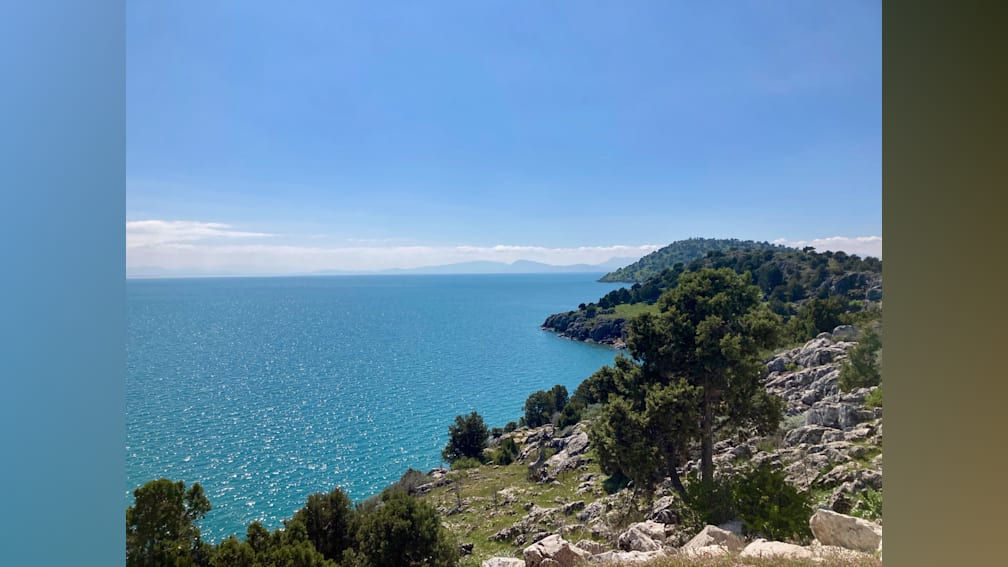 a body of water with trees and land in the background.