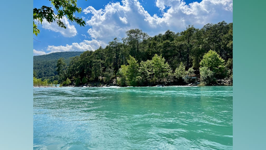 A river with trees and a blue sky in the background.