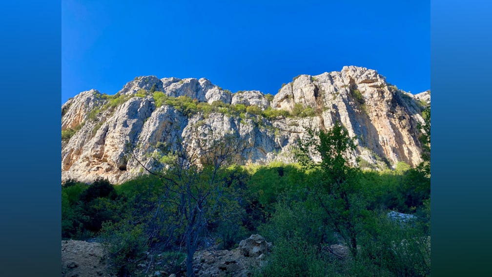 A tree is in front of a large rock and is growing between two cliffs.