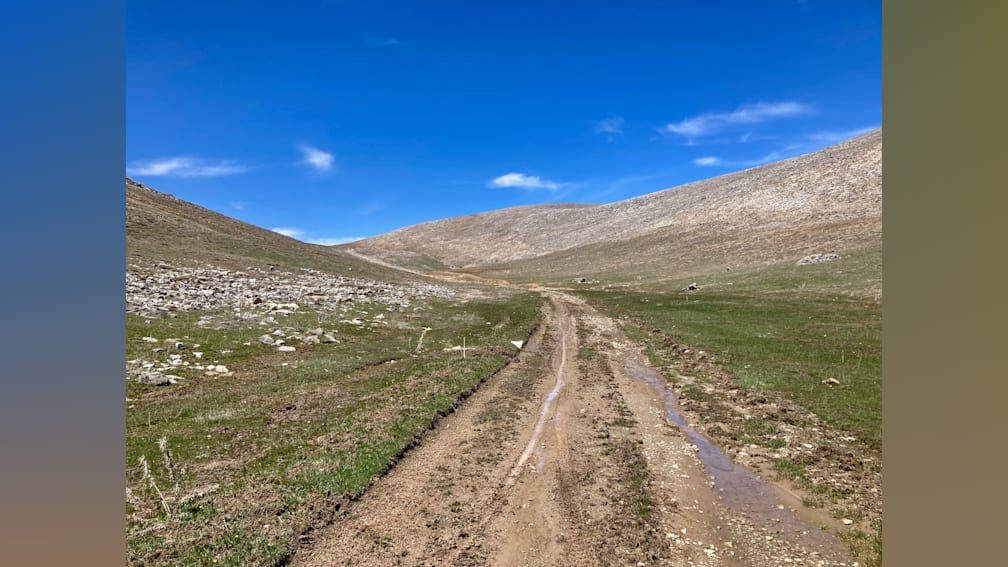 A dirt road cuts through a grassy field.