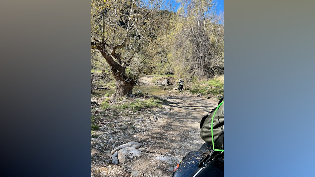 A tree is on the side of a dirt road with a person in the middle of the road in front of it.