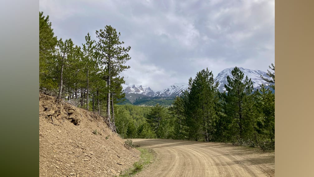 A dirt road leads to a forested area with a mountain in the background.