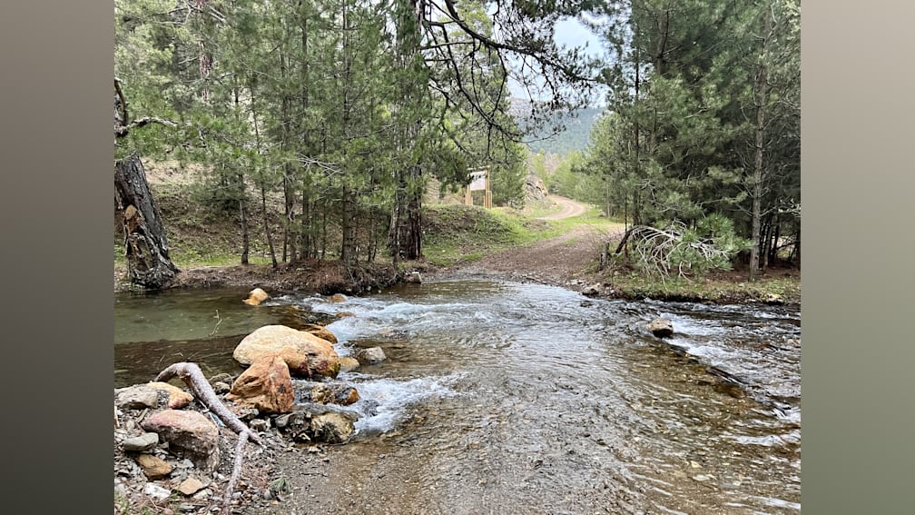 A stream of water runs through a clearing in the woods.
