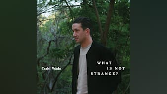 What Is Not Strange? by Tashi Wada