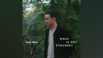 What Is Not Strange? by Tashi Wada