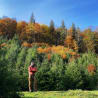 A man standing in a field of trees with a backpack on his back.