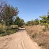 A dirt road has a lot of footprints in it and is very windy.
