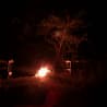 A fire burns brightly in a wooded area, casting an orange glow over the trees and the ground.