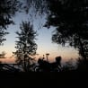 A motorcycle is parked in front of a tree line at sunset with the sun going down behind the trees.