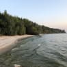 A beach with waves crashing on the shore and a tree line.