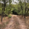 A dirt road cuts through a wooded area with trees on both sides.