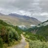 A forest of trees and a road winds its way through the mountains.