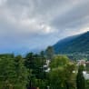 A forest of trees with a mountain in the background and a large cloud cover.