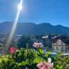 The sun is shining on a flowery area with pink and green flowers and a blue sky in the background.