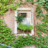 A window sill that has plants in it and is also a place to put things on.