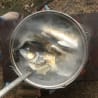 A pan full of water with fish in it being cooked over a fire.