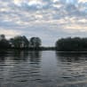 A lake with trees and a cloudy sky in the background.