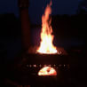 A small outdoor fire pit is lit, with a pizza cooking in it, and a tree in the background.