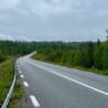 A large, empty road with trees in the background.