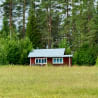 A red cabin in the woods sits in a field with trees.