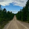 A road cuts through a wooded area with no cars in sight.