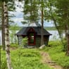 A log cabin is surrounded by trees and sits by a body of water.