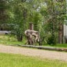 A large deer with antlers is standing near a fallen tree in a gravel driveway.