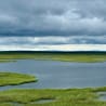 The water is calm and the grass is green in this scene.