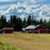 A large red barn sits in a field with a blue shed to the right of it.