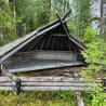 A shed with a thatched roof is in a wooded area with trees.