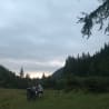 A motorcycle is parked in a field with trees in the background.