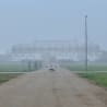 A large stadium with fog rolling in from the west and a cat walking across the road.