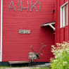 A deer with antlers stands in front of the building aihki.aio.