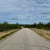 A road goes by a forest and is very empty.