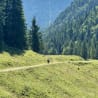 A person on a bike is riding down a path in the mountains.